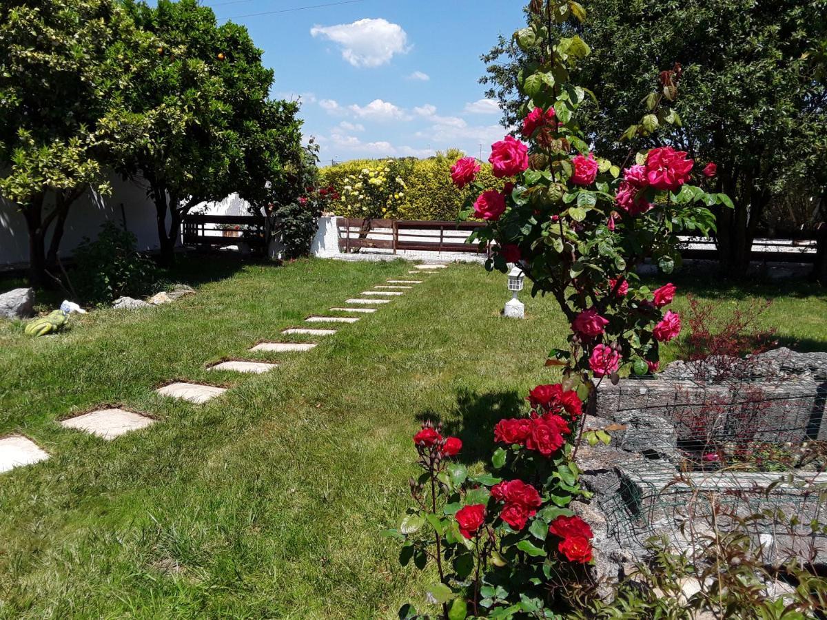 Cela VelhaQuinta Camargue住宿加早餐旅馆 外观 照片